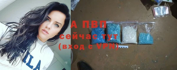 спайс Бердск